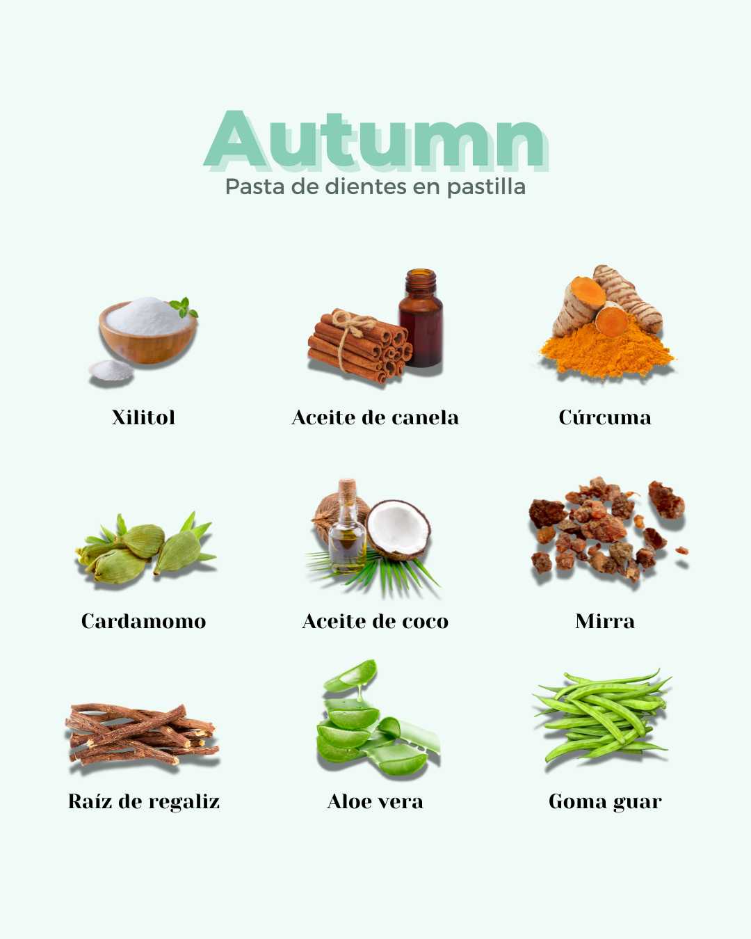 Pasta de Dientes en Pastilla ECO AUTUMN - Montber Professional Brand