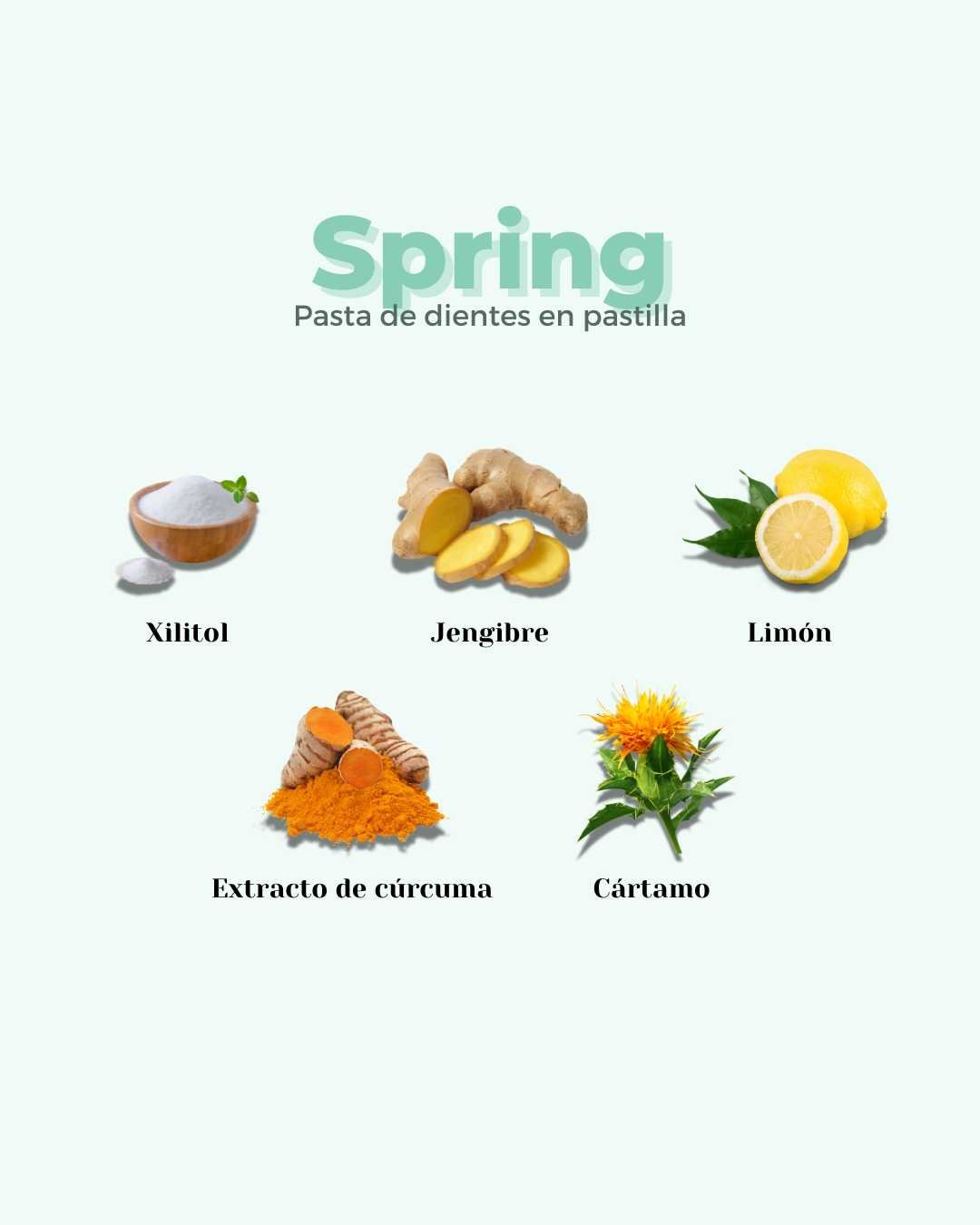 Pasta de Dientes en Pastilla ECO SPRING - Montber Professional Brand