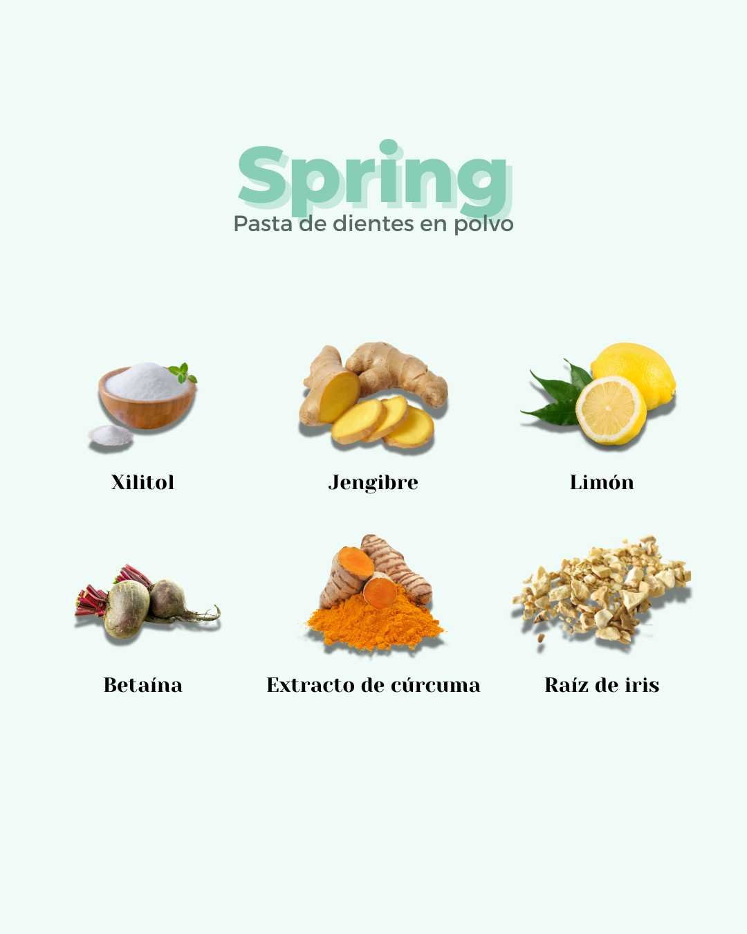 Pasta de Dientes en Polvo ECO SPRING - Montber Professional Brand