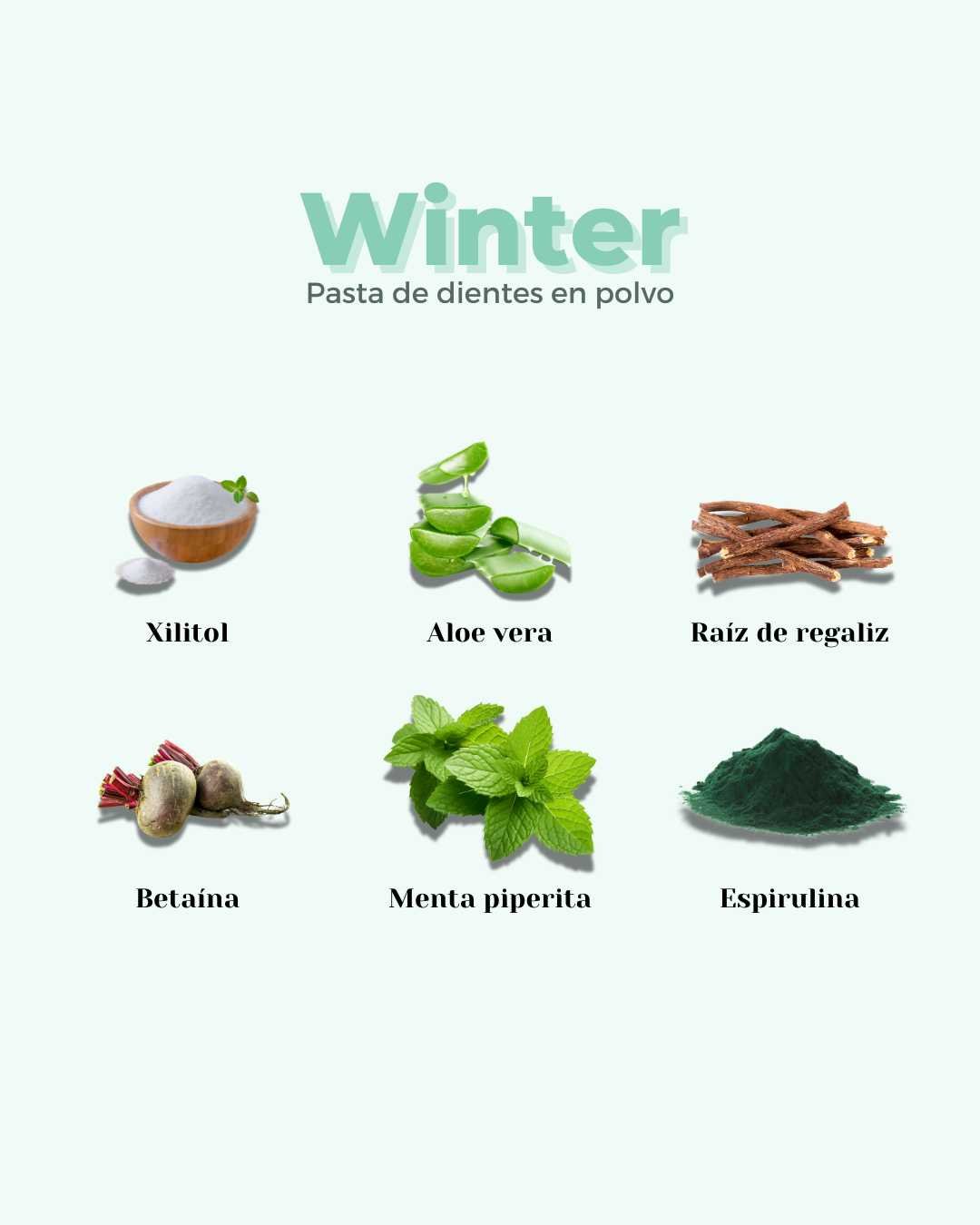 Refill Pasta de Dientes en Polvo ECO WINTER - Montber Professional Brand
