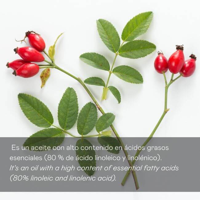 Sérum aceite rosa mosqueta 100% puro - 30 ml - Montber Professional Brand