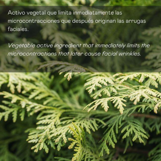 Sérum Facial Antiarrugas de Expresión – Acción Intensiva con Retinol - 30 ml - Montber Professional Brand