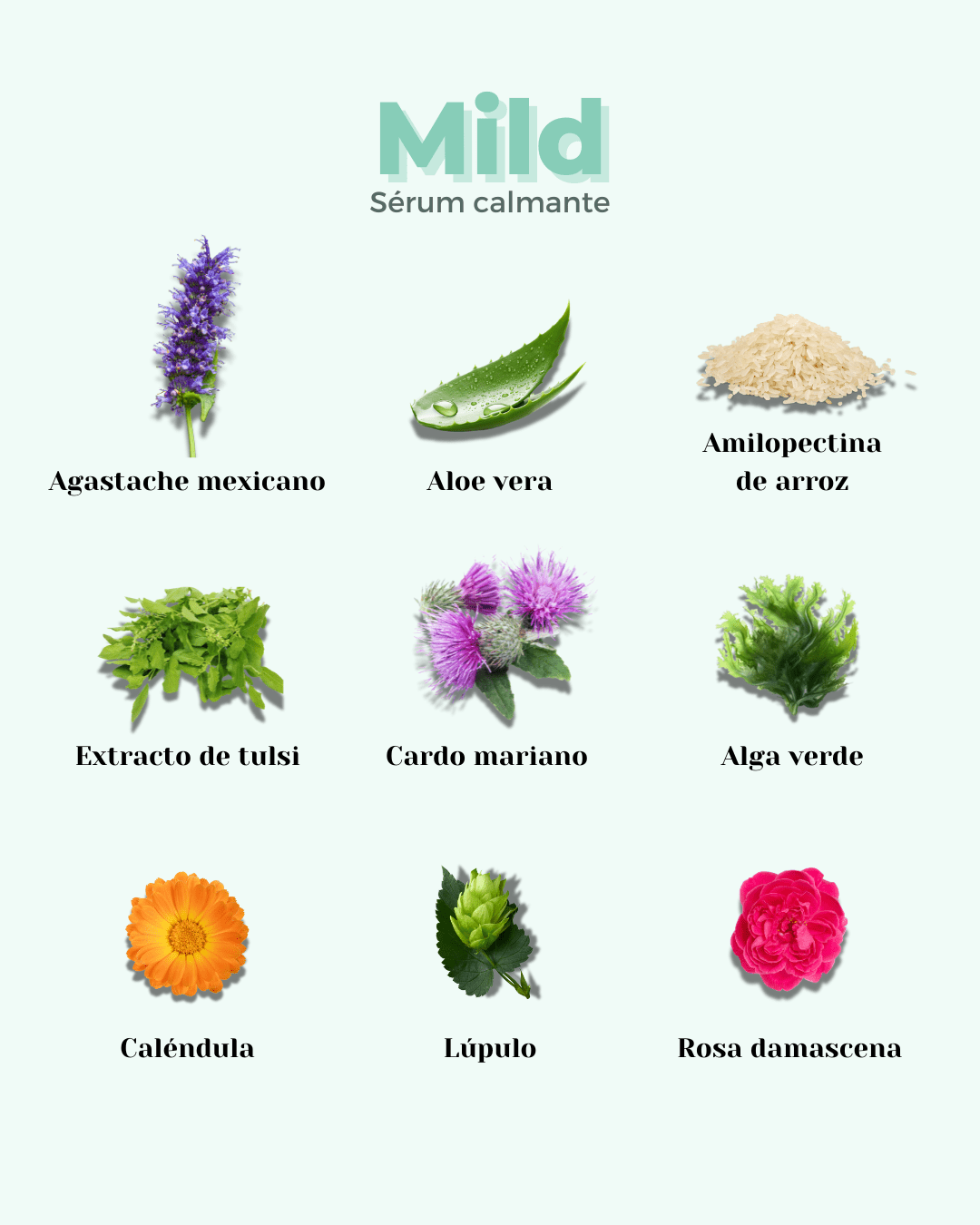 Sérum Facial Calmante Pieles Sensibles con Rojeces MILD - Montber Professional Brand