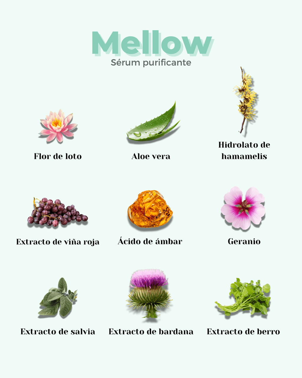 Sérum Facial ECO Purificante MELLOW - Montber Professional Brand