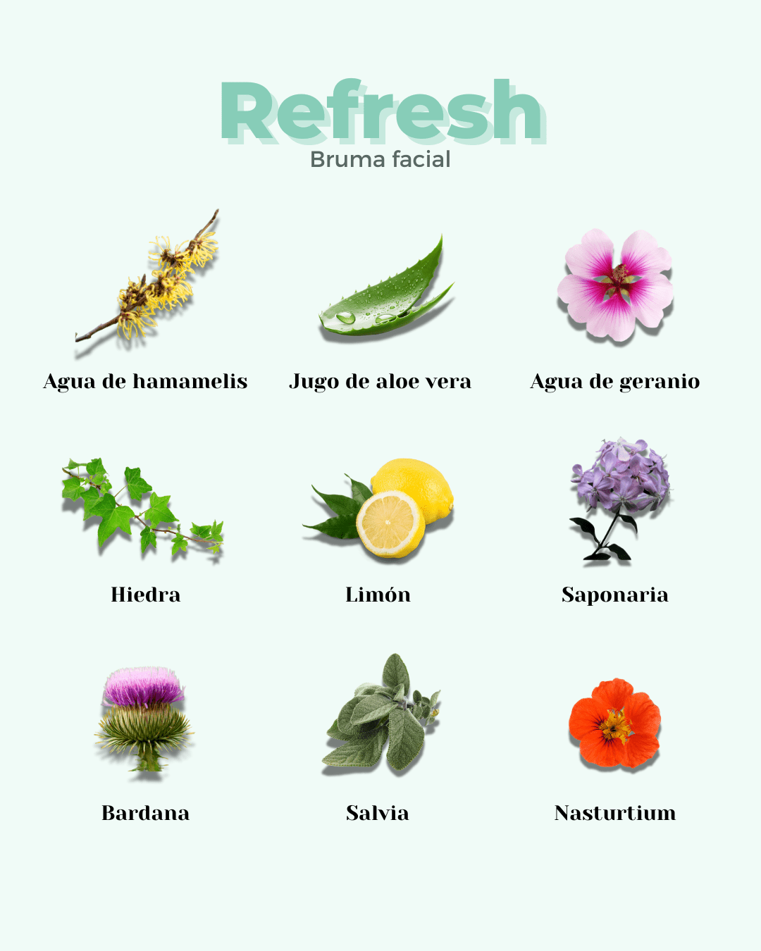 Tónico para Pieles Grasas REFRESH - Montber Professional Brand