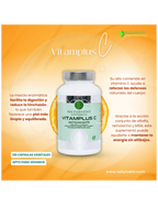 VITAMPLUS C - Vitamina C con complejo vegetal digestivo y antioxidante - 120 cápsulas - Montber Professional Brand